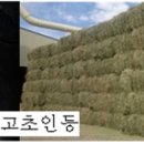 넝쿨의류 이미지