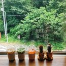 리플유 티스토리