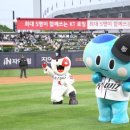 데이위즈