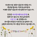 정광사유치원 이미지