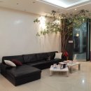 연세브이의원 이미지