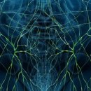 신당중앙정형외과의원 이미지