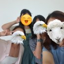그냥 살아라 그래도 괜찮다