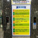 대전 둔산동 투비전NX 골프존파크 둔산나무스크린(주차, 금액 등)