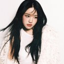 533 이미지