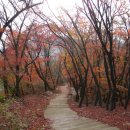 () 서울 도심의 북현무, 북악산 늦가을 나들이 ＜백사실계곡, 북악스카이웨이, 북악팔각정, 북악하늘길＞ 이미지
