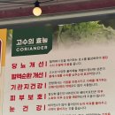 베트남현지쌀국수 1980 이미지