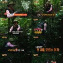 최*송 이미지