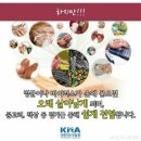 세라톤보청기
