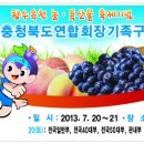 2013" 옥천 농.특산물 축제기념 충청북도연합회장기 족구대회 배너 이미지