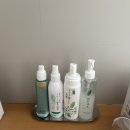 직전마을 | 후쿠오카 온천 료칸 개인탕 있는 우레시노 온천마을 료칸요시다야 후기