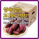 행복한작은고구마 | 실패 없는 고구마 선택! 해뜨온 찰랑 꿀밤고구마 베니하루카 5kg 총정리
