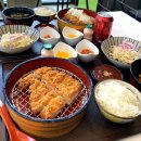 유리카모메신방통정식당