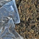 상옥농장2 이미지