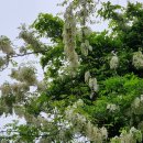 도원2농장 이미지