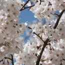 드림한의원 이미지