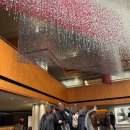 도안수산식당 | 안양중앙시장 허파볶음 / 신도림 웨딩시티 / 노량진수산시장 내돈내산 / 손선장 방어모듬회 / 초장집...