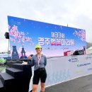 인지복지사우나 | 2026 제33회 경주 벚꽃 마라톤 첫 마라톤 후기 10K