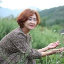 포엠경영컨설팅