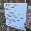 영주목장 | 영주 봉화 카페 비진숲커피 디저트 맛집 가볼 만한 곳