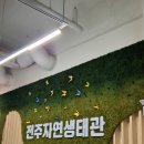 14개월 아기랑 전주여행 전주자연생태관 재개관 방문 후기 및 주차