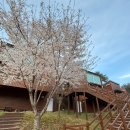 숲체원 | 국립대전숲체원 후기