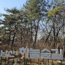 1월5일(월) 남산하늘숲길 이미지