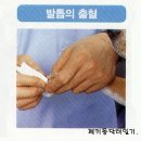까치건강원 | 애견 응급처치
