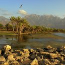 세계의 명소와 풍물 29 - 예멘, 소코트라섬(Socotra Island) 이미지