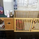 보경동물병원 이미지