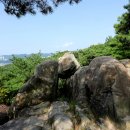 숲향여행사 이미지