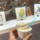 스무살의 어린 비망록