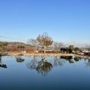 밤소리글램핑 이미지