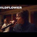 미국의 싱어송라이터 Billie Eilish의 "WILDFLOWER" 이미지
