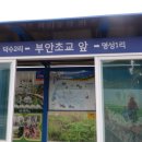 깃대봉(272m).노적봉(275m). 송이재봉(671m).한강기맥소리산(658m).행경메기산(407m)/경기양평단월. 이미지