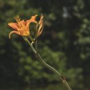 이랴이랴 워~워 이미지