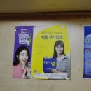 해왕낙지 이미지