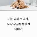 홍금동물병원 | TV동물농장 방영 분당 홍금동물병원 천원짜리 수의사 정보