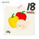 차중 | 임신일기 ｜임신18~19주차 ｜임산부 왁싱 후기, 임신 중 유방초음파