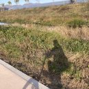 아중대여소 이미지