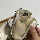 해동일터 | 9월 일상/집밥 기록, 포항 여행, 고구마말랭이 만들기, 청모💍, 올리브오일레몬즙