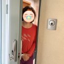 민수수산 | 올해의 봄 일상 압축