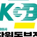 내집처럼이사
