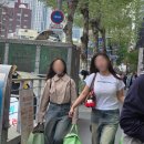 오다케이크 | 성심당 케이크 2개 들고 오다 죽을 뻔한 후기, 임산부 할인 땡큐