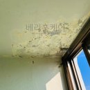 선경솔루션 이미지