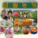 금월농장 이미지