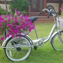 아리스토이펜션 이미지