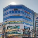영바디복싱 이미지