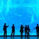 아쿠아민박 이미지