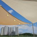 한류월드로+월드고양로 이미지